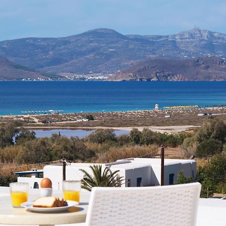 Camara Hotel آغيوس بروكوبيوس المظهر الخارجي الصورة